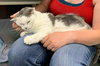Missy-At the Shelter