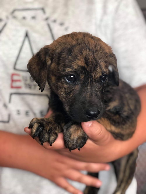 Mark's Riley-Not at the Shelter