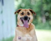 Jubal - at the shelter