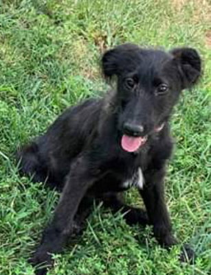 Mary: not at the shelter