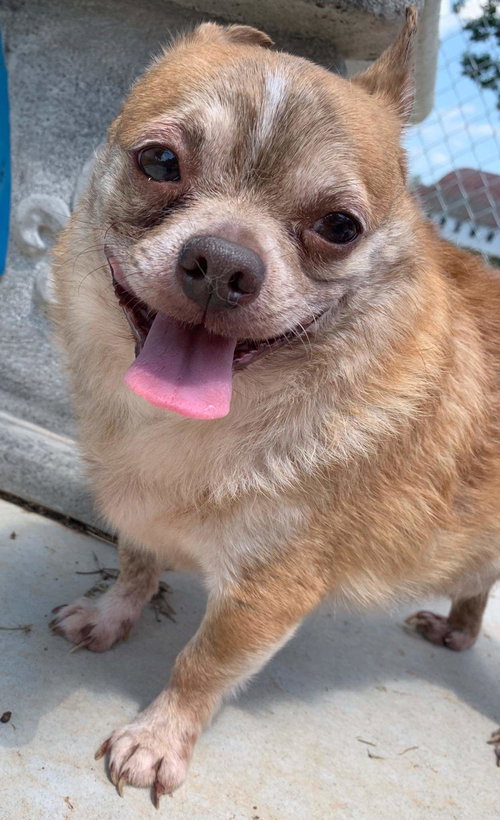 Matteo: not at the shelter