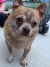 Matteo: not at the shelter