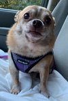 Matteo: not at the shelter