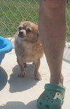 Matteo: not at the shelter