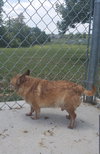 Matteo: not at the shelter