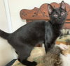 Twins - Not at the Shelter