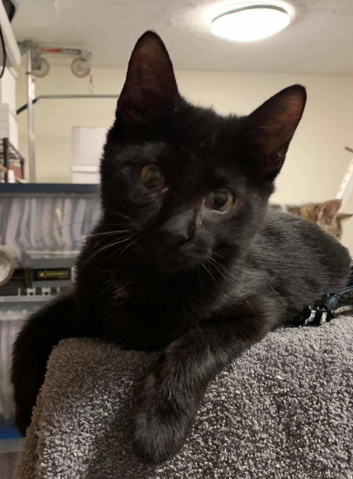 Twins - Not at the Shelter