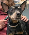 Heidi Mae: Not At the Shelter
