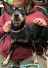 Heidi Mae: Not At the Shelter