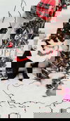 Snap - At the Shelter