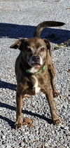 Julius - At the Shelter