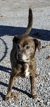 Julius - At the Shelter