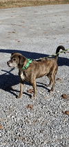 Julius - At the Shelter