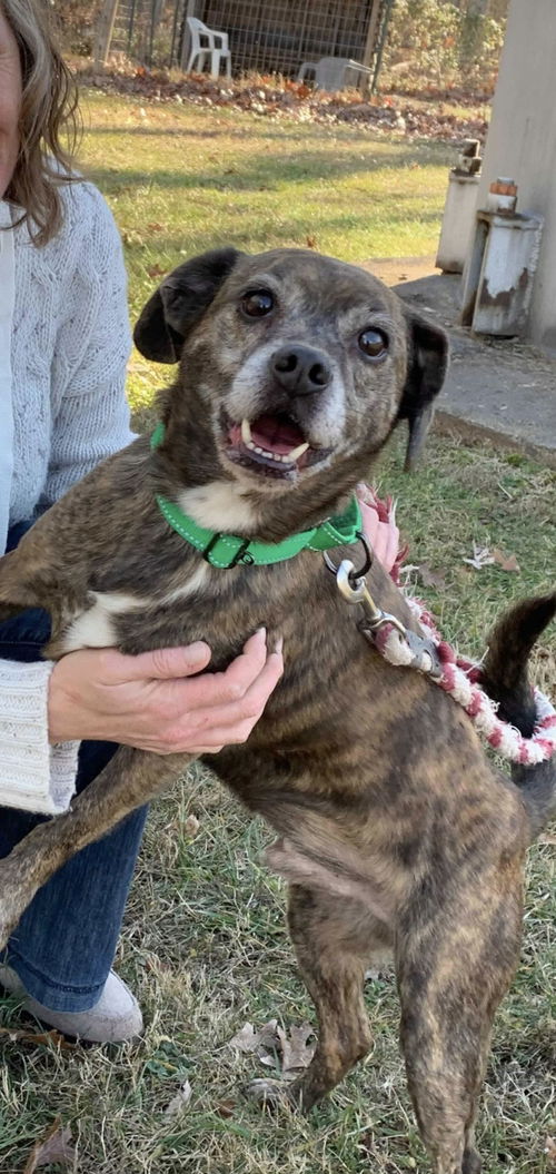 Julius - At the Shelter