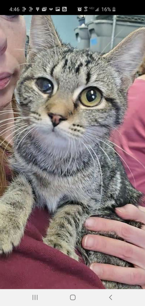 Toast - At the Shelter