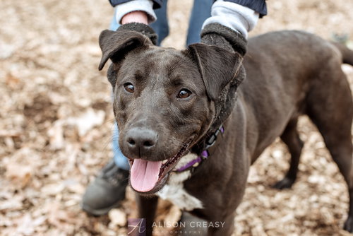 Delta - At the Shelter