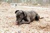 Delta - At the Shelter