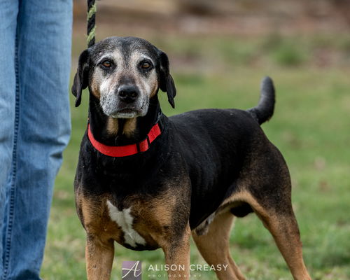 Luther - Not At the Shelter