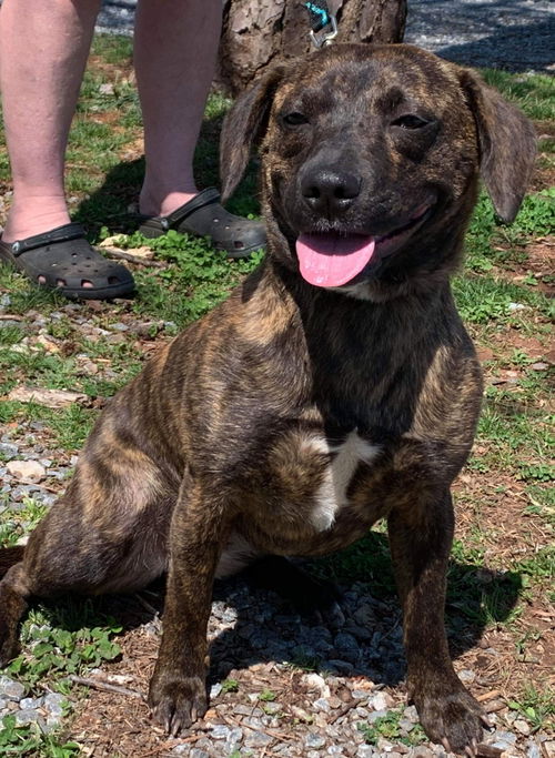 Nelly-Not at the Shelter