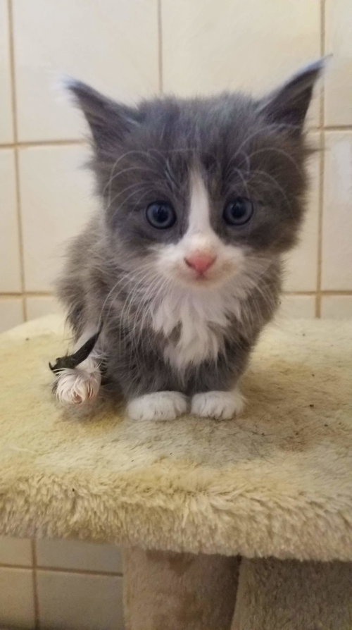 Hunk - Not at the Shelter