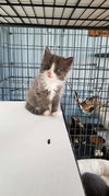 Hunk - Not at the Shelter