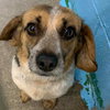 Mary - At the Shelter