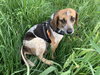 Mary - At the Shelter