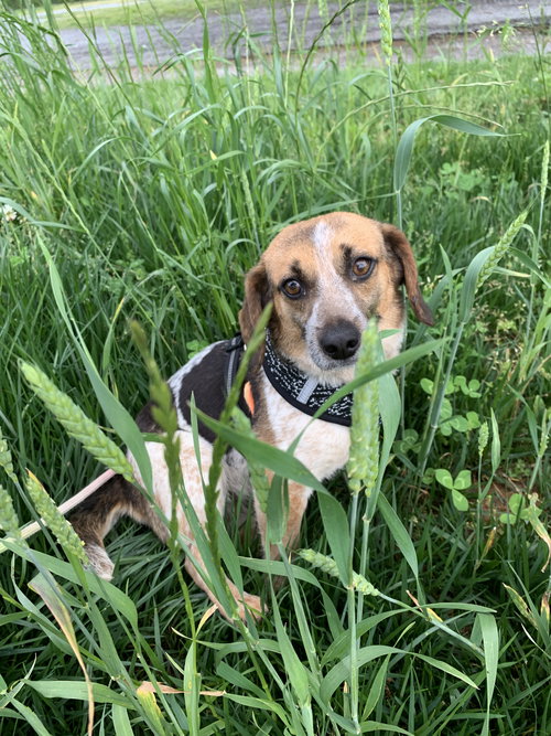 Mary - At the Shelter