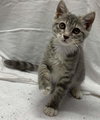 May - Visit at Petsmart