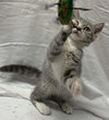 May - Visit at Petsmart