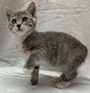 May - Visit at Petsmart