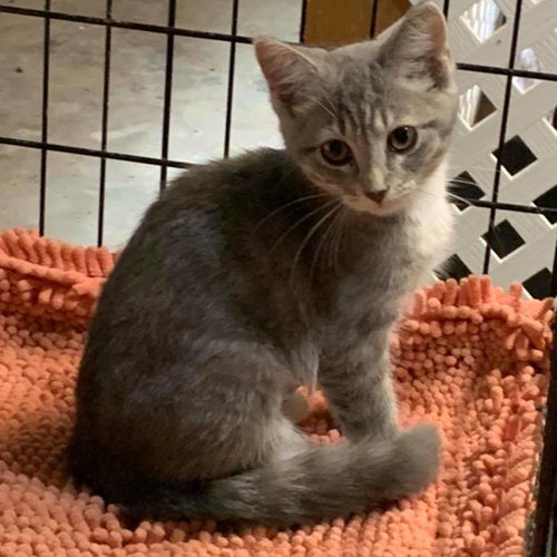 May - Visit at Petsmart