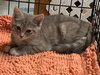 May - Visit at Petsmart