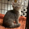 May - Visit at Petsmart