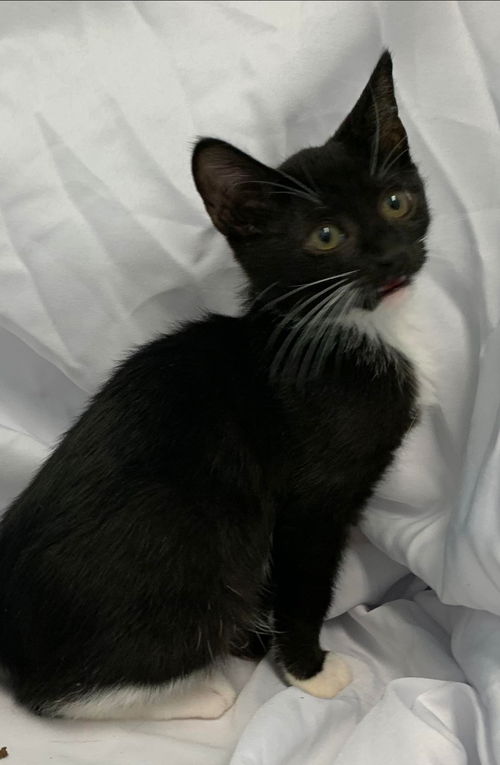 Marco - At the Shelter