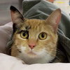 Dyani - Visit at Petsmart