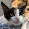 Doe: visit  at Petsmart Lynchburg