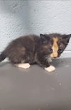 Estelle: at the shelter