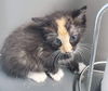 Estelle: at the shelter