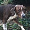 Dragon - Not At the Shelter