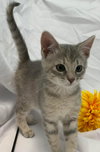 Breeze - At the Shelter