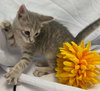 Breeze - At the Shelter