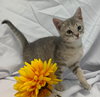 Breeze - At the Shelter