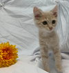 Devin - At the Shelter