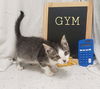 Gym - At the Shelter