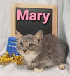 Mary - At the Shelter