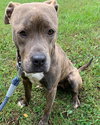 Mimi - At the Shelter