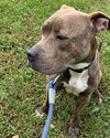 Mimi - At the Shelter