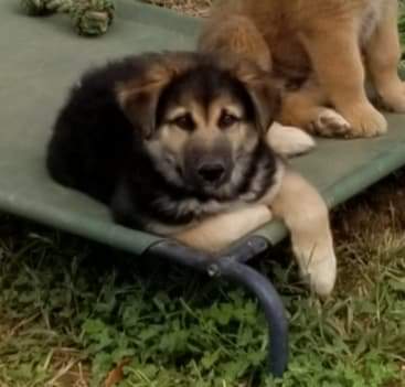 Nome - Not At the Shelter