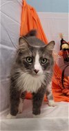 TomTom: Not at the shelter
